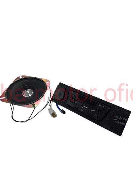 Radio USB / Bluetooth Triciclu Electric KUBA E-KAMYONET